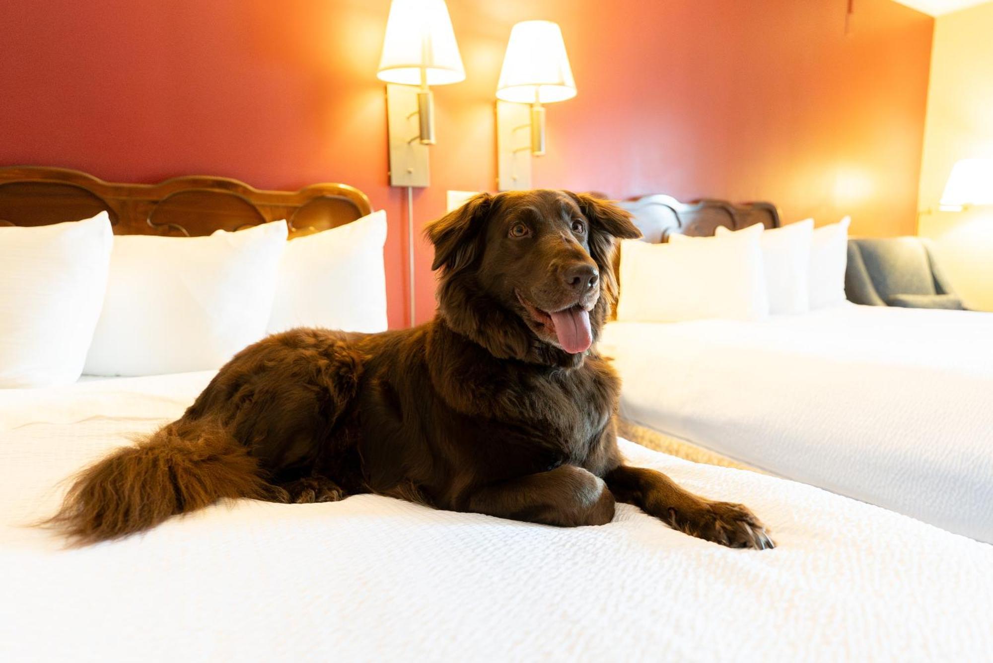 Fireside Inn & Suites Gilford Esterno foto
